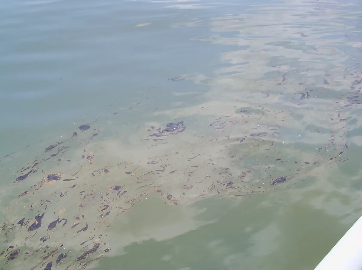 Dark patches and streaks of weathered oil in a dull sheen, seen from a boat